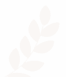 Hacı Biçer inşaat, Üstyapı Hizmetleri, Mimarlık ve Mühendislik Hizmetleri, Anahtar Teslim İnşaat İşleri, Emlak ve Gayrimenkul Hizmetleri, Üstyapı, İnşaat, Ankara İnşaat